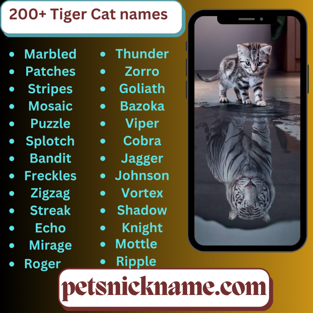 Tiger Cat names