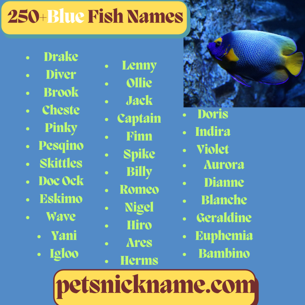 Blue fish names and image