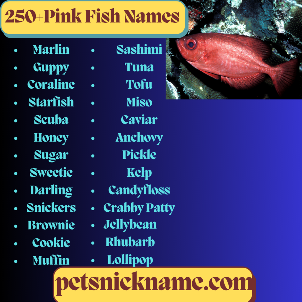 pink fish names and image