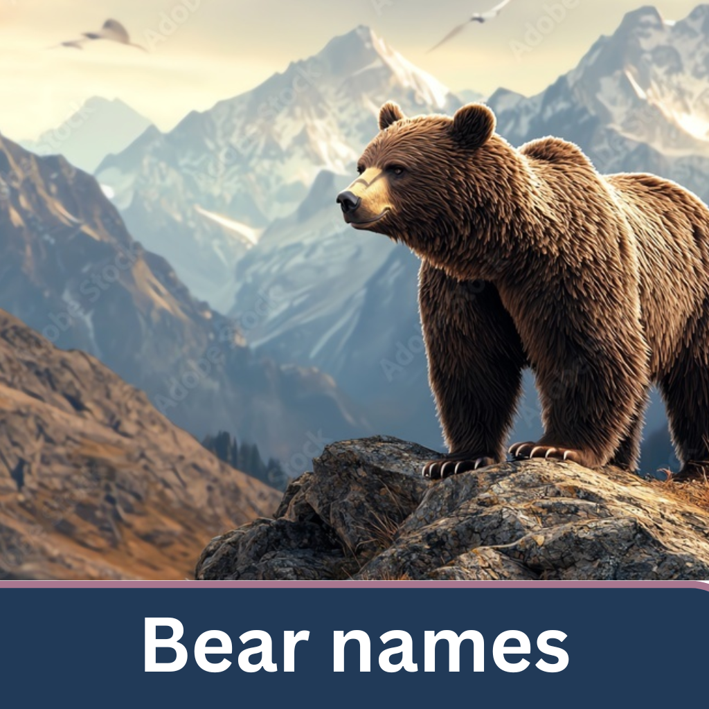 Bear names