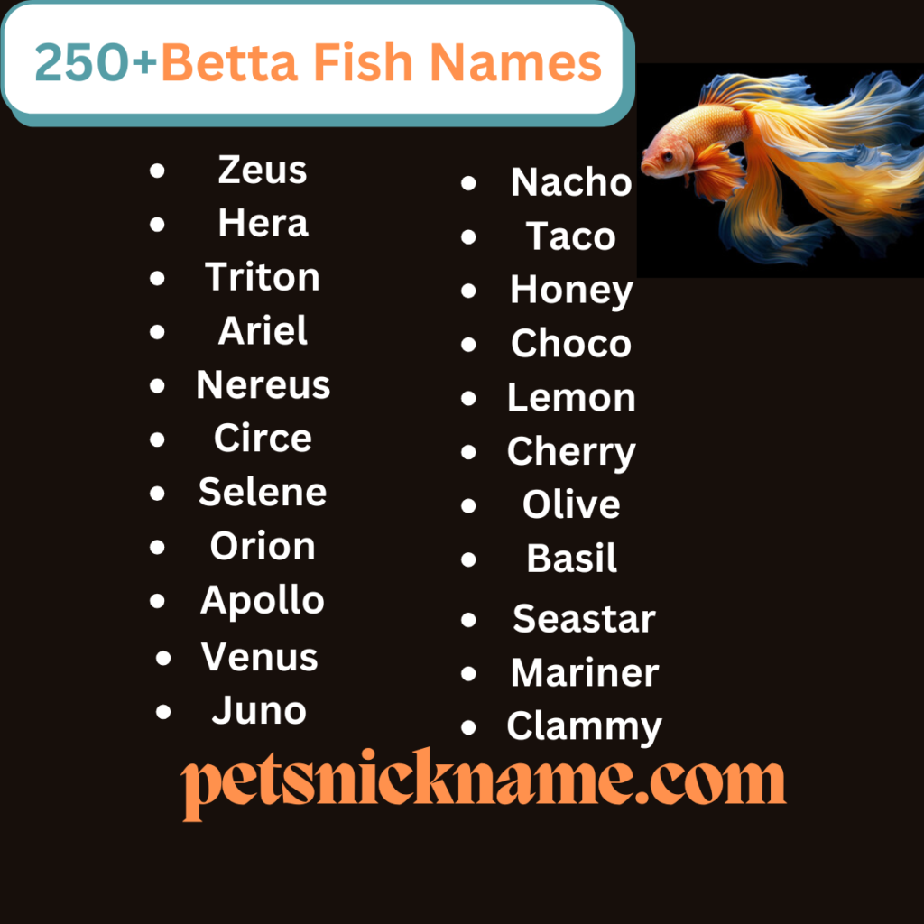 Betta fish Names