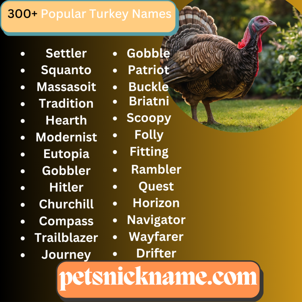 Popular Turkey Names